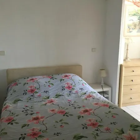 Apartment Villa Medici 200M From Monaco With A Pool